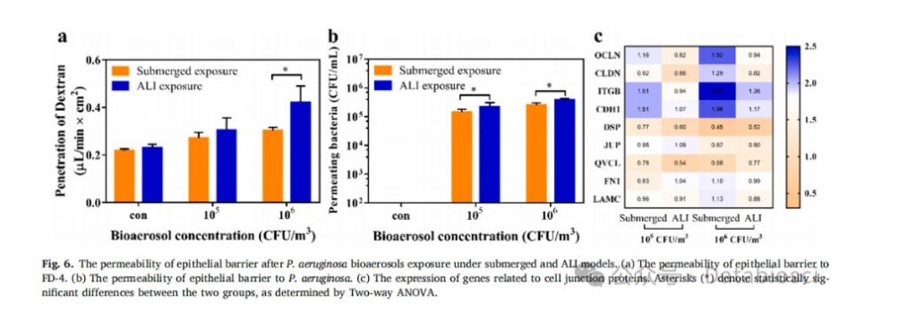 呼吸道炎症增强生物气溶胶毒性效应的机制研究——基于细胞气-液界面暴露模型与浸没式暴露模型的比较 3 研究结论