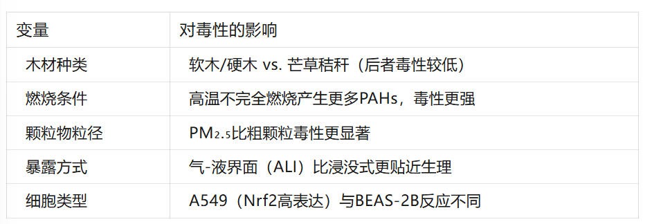 野火与木材烟雾:它们对肺上皮细胞做了什么? 3 变量
